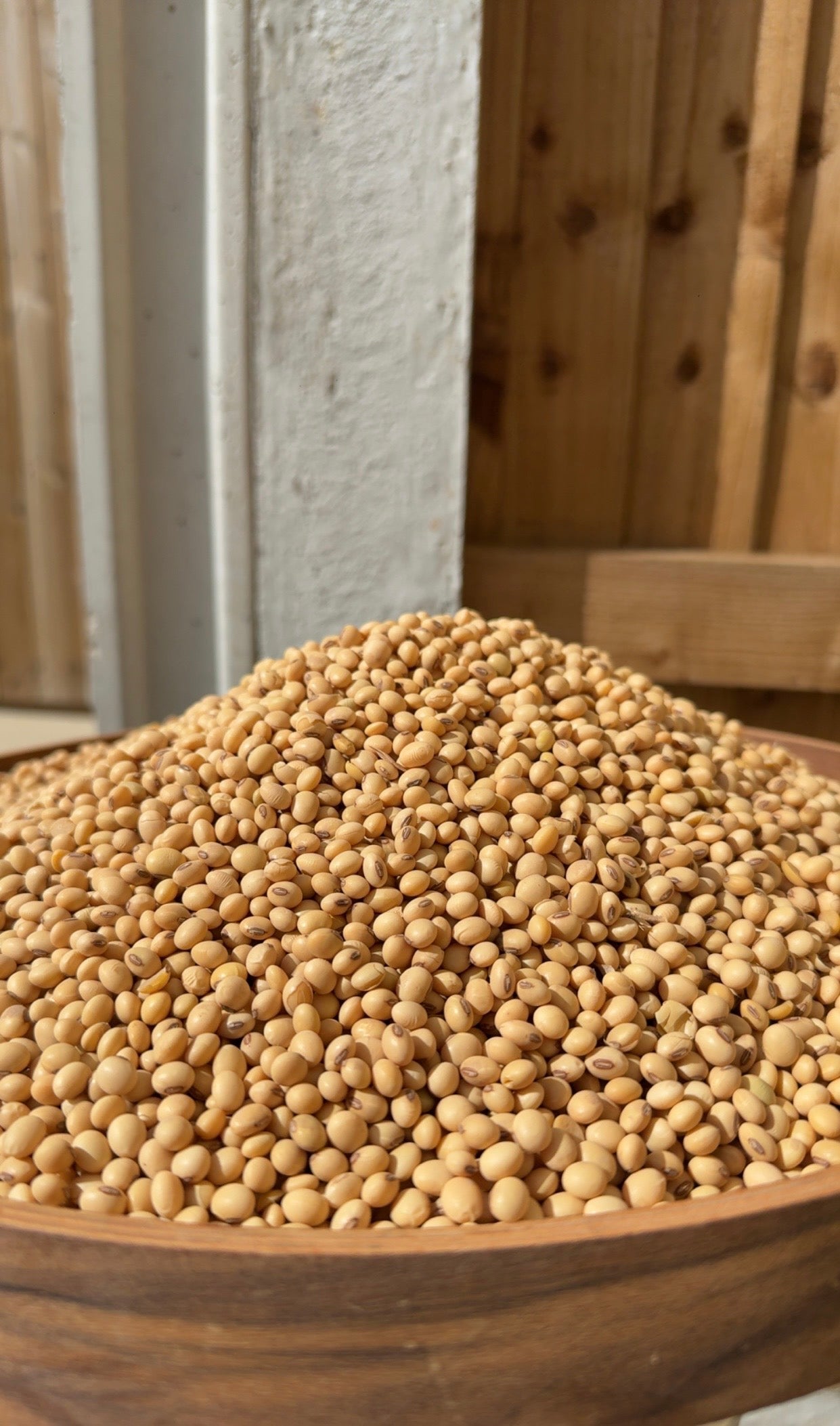 Soya Beans (1kg)