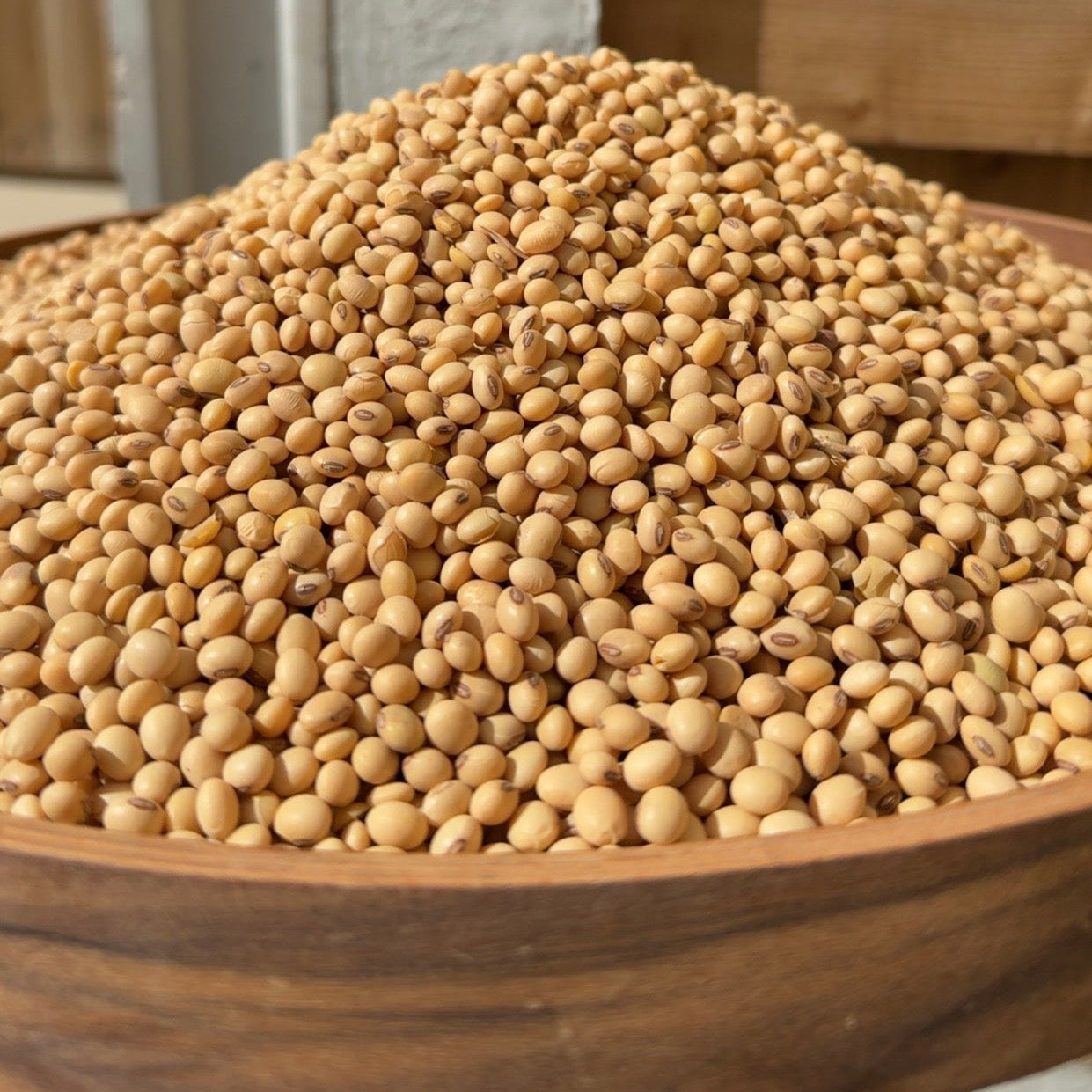 Soya Beans (1kg)