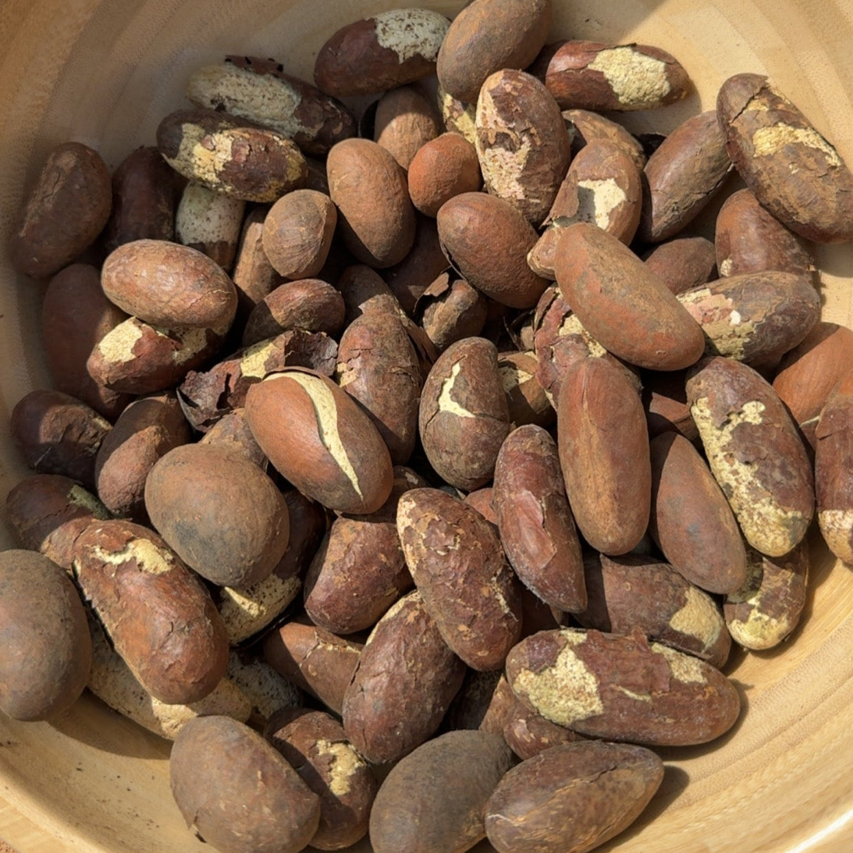 Bitter Kola 6 pieces