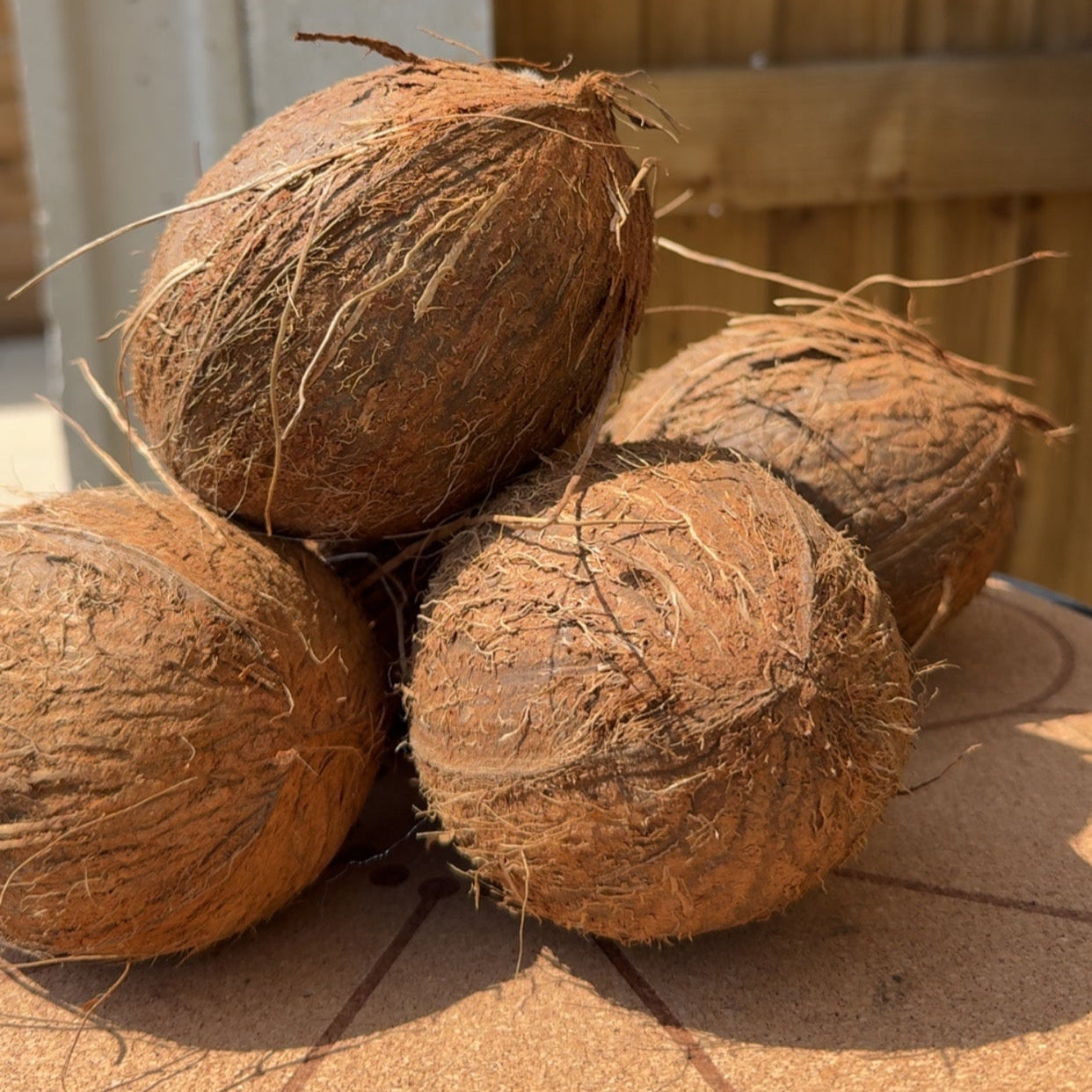 Ghana Coconut 1pcs