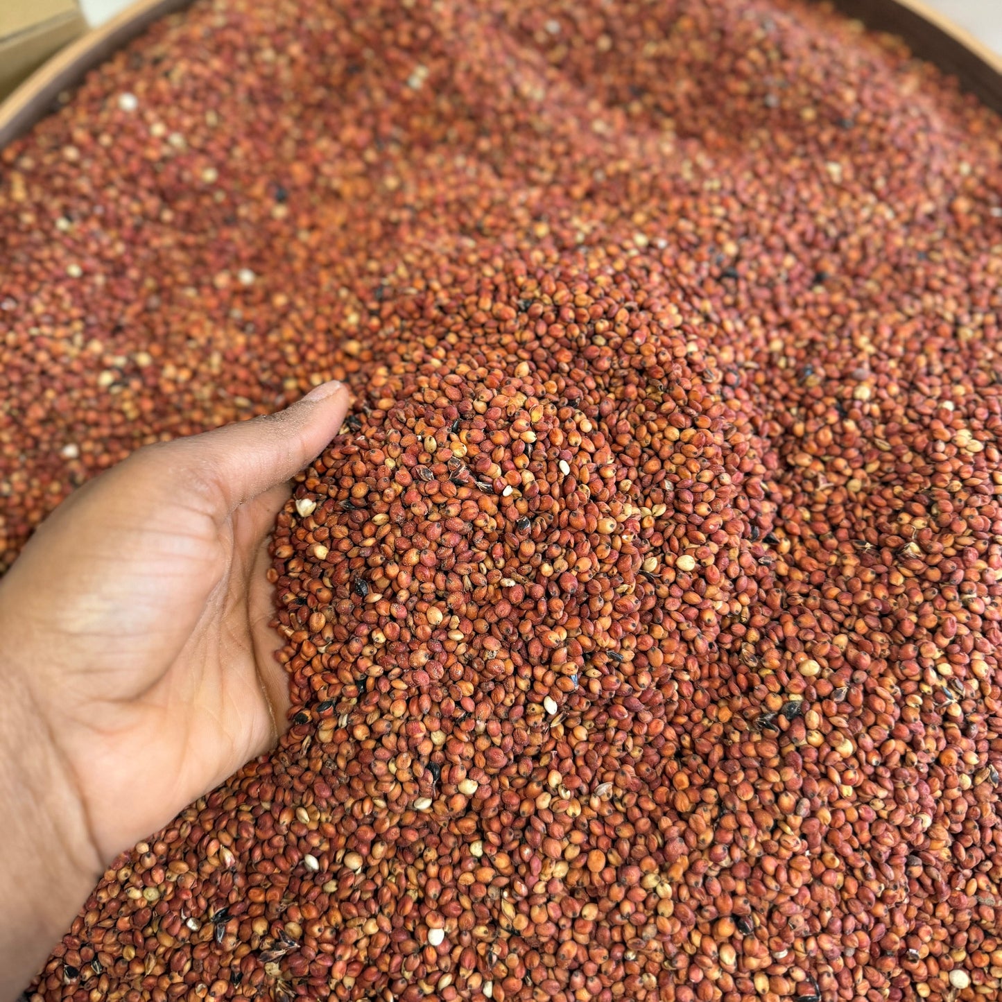 Red millet (Guniea corn) 1kg