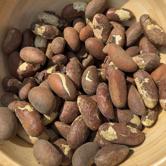 Bitter Kola 6 pieces