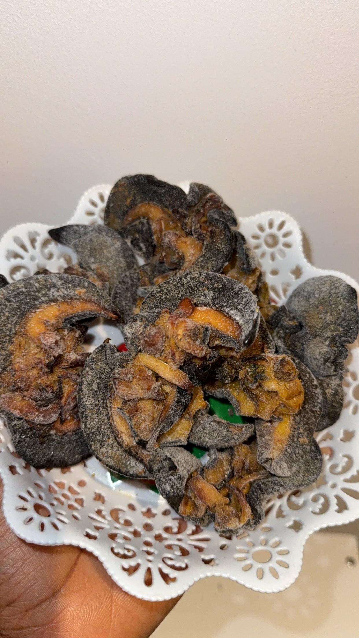 Snail (Jumbo size) 5pcs