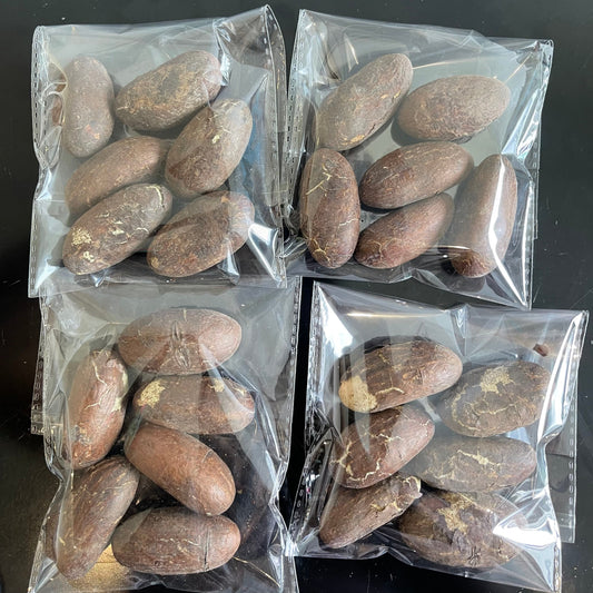 Bitter Kola